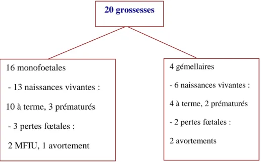 Figure 3 : devenir des grossesses programmées et non programmées 16 monofoetales   - 13 naissances vivantes :  10 à terme, 3 prématurés  - 3 pertes fœtales :  2 MFIU, 1 avortement 4 gémellaires - 6 naissances vivantes :  4 à terme, 2 prématurés - 2 pertes 