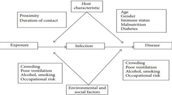 Figure 3 : Facteur de risque de la Tuberculose [5]. 