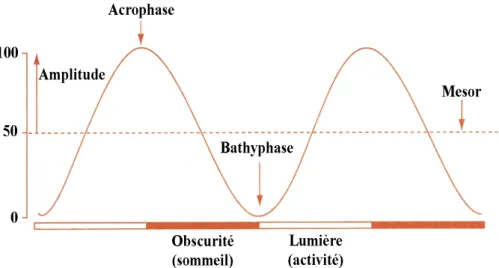 Figure 2 :  Illustration graphique d’un rythme hypothétique, d’après[2] 