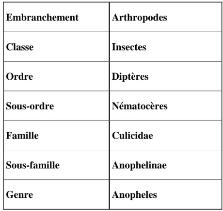 Tableau I : Taxonomie de l’anophèle [23]