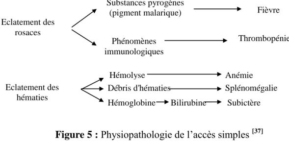 Figure 5 : Physiopathologie de l’accès simples  [37]