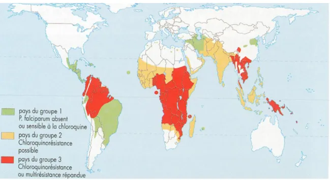 Fig. 7 :  La prévalence de la chloroquinorésistance  (D’après l’OMS 2010)  [38]
