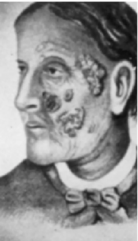 Figure 1 : Mrs Mortimer (2) 