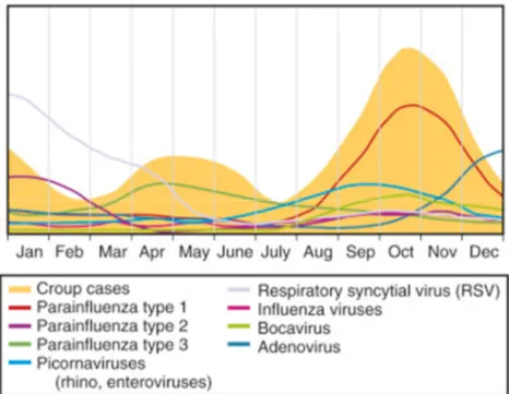 Figure 40: caractère saisonnier de la laryngite par rapport à l’activité  épidémiologique des virus respiratoires [71] 
