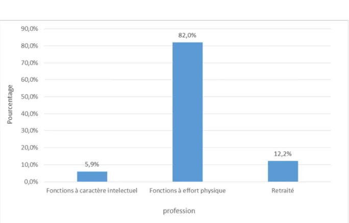 Figure 7 : Répartition de la population en fonction de la situation professionnelle. 