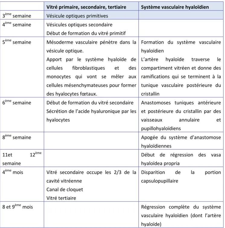 Tableau 1 : embryologie du vitré : récapitulatif : [1] 