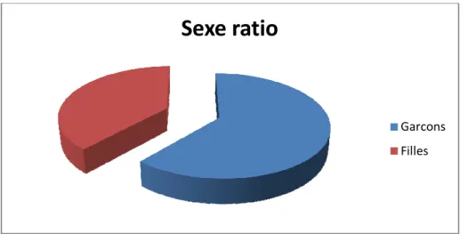 Graphique 1 : la répartition selon le sexe. 