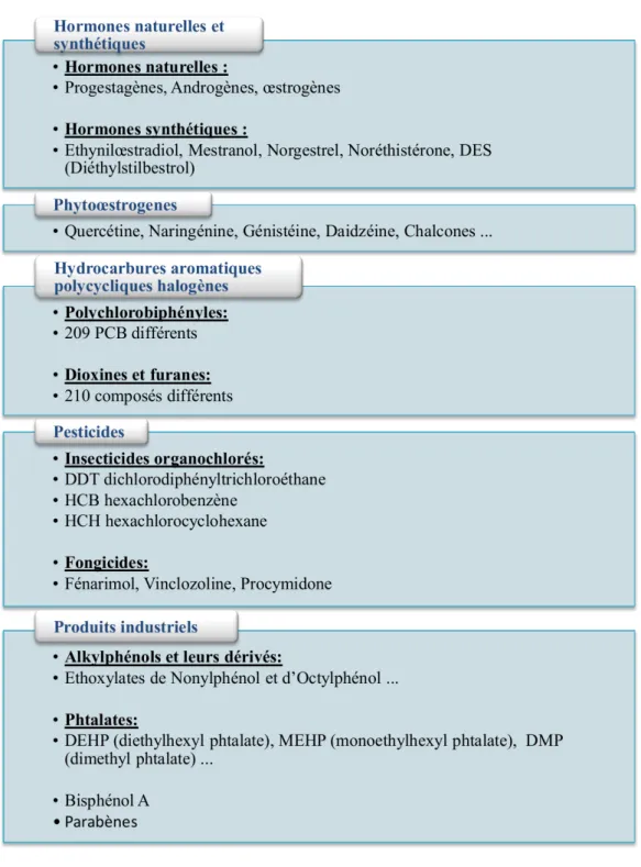 Figure 5 : catégories des perturbateurs endocriniens 