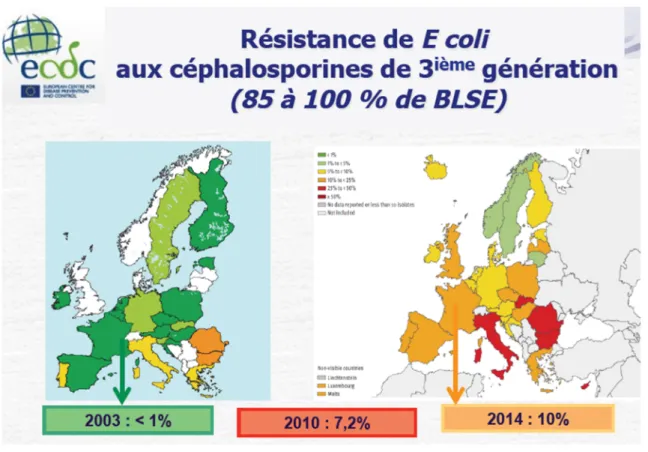 Fig 8 : la résistance accrue de l’E. Coli aux C3G pendant les dernières dix années 