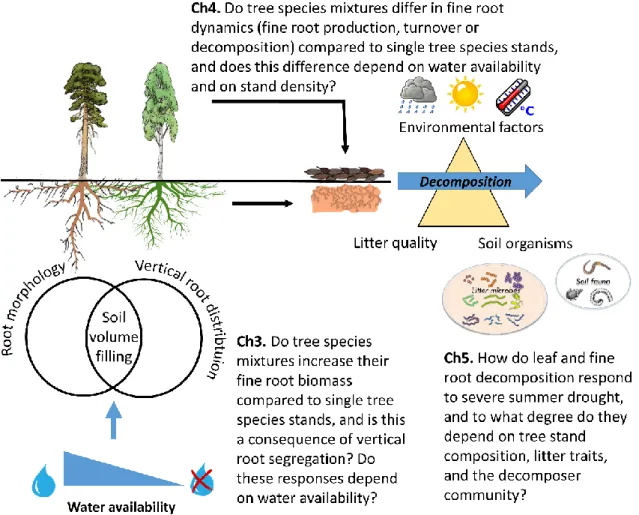 Fig. 1. 3 Schematic overview of research questions addressed in the indicated  chapters of my thesis