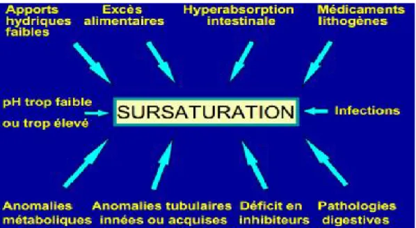 Figure 7 : Principales causes de la sursaturation [19] 