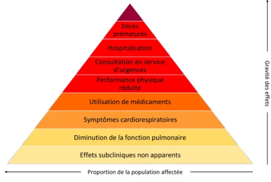 Figure 1.3 – Pyramide des effets de la pollution de l’air sur la santé [30].