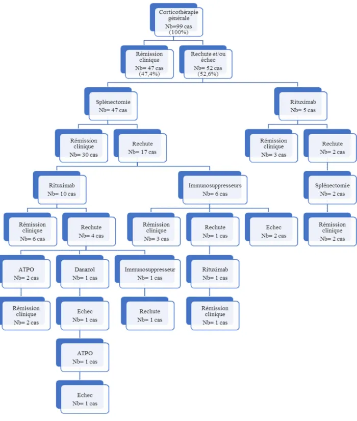 Figure 4: Stratégie thérapeutique des 99 patients 