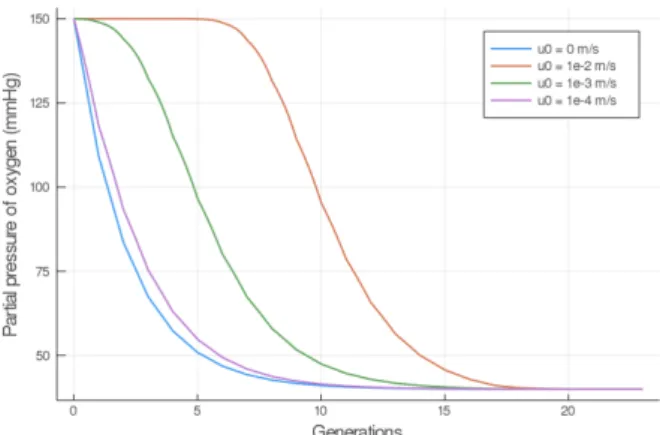 Figure 3.4: Partial pressure of the oxygen in the lung for different velocity.