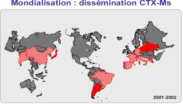 Figure 7 : situation épidémiologique mondiale des BLSE 2001-2002 
