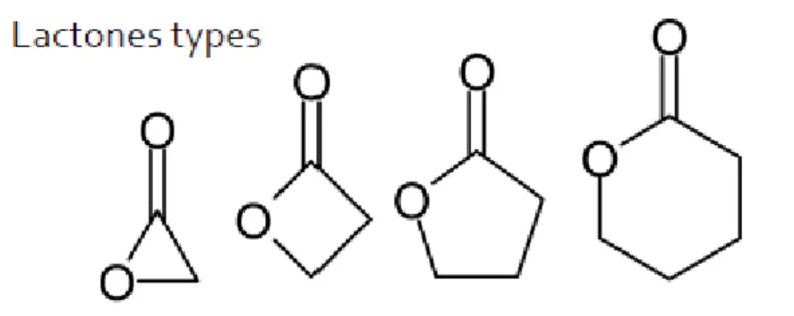 Figure 1 : Les types de lactones 