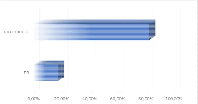 Figure 5 : Répartition selon le t