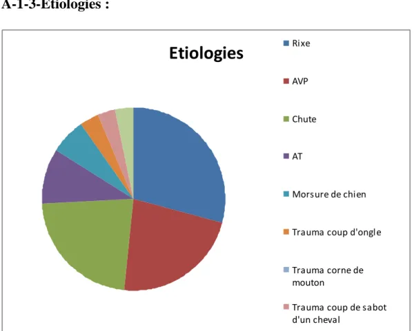 Fig. 5 : Etiologies des plaies des voies lacrymales. 