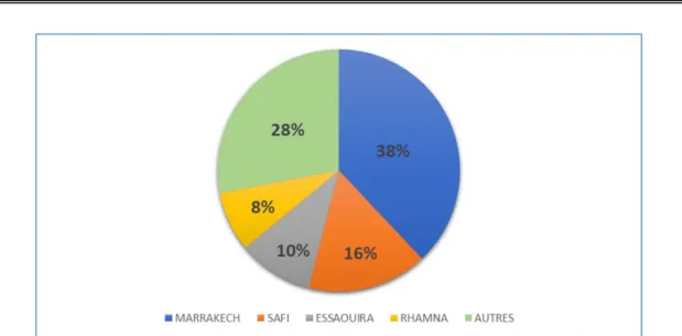 Figure 4 : Répartition selon l’origine géographique de la population étudiée 