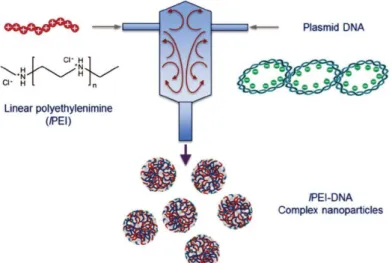 Figure  10. Production of highly uniform PEI/DNA complex particles in large scale with high  reproducibility using a Confined Impinging Jets  (CIJ) device enabling  fast  and  controlled  mixing  conditions