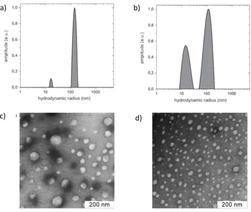 Figure  5.  Formation of aggregates in  chitosan solution (M w ~120 kg/mol). a,b) Size distribution  obtained by dynamic light scattering at 90° for 1.2.10 -3  mM solutions of chitosan prepared in 0.3 M  CH 3 COOH in the presence of 0.05 M CH 3 COONa