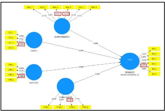 Figure 2 : Fiabilité des items