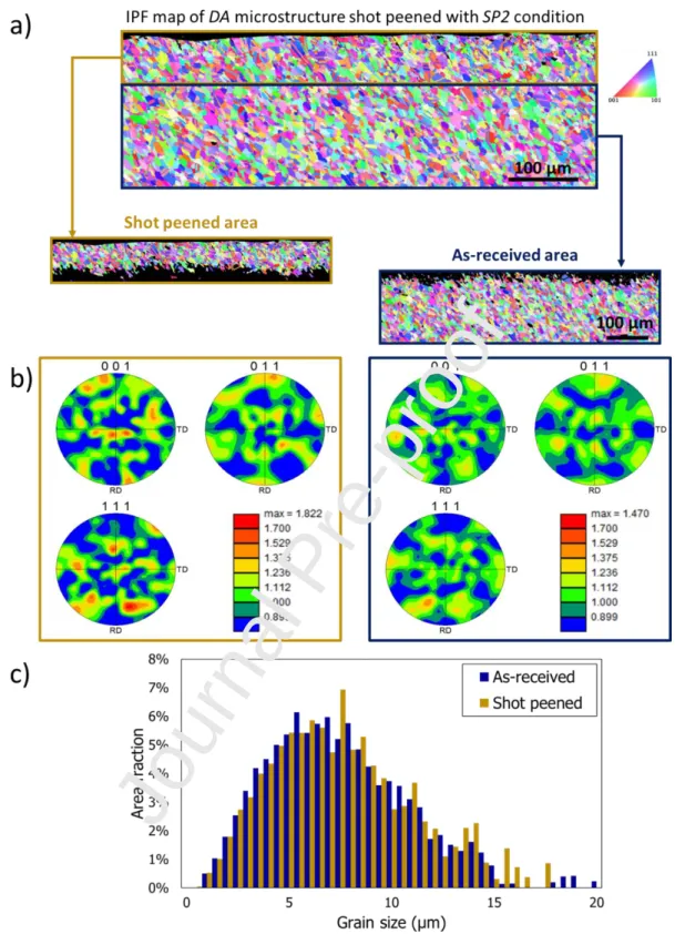 Figure 5. Grain size and crystallographic texture comparison between the shot peened (SP2 condition) and as- as-received materials obtained for DA microstructure