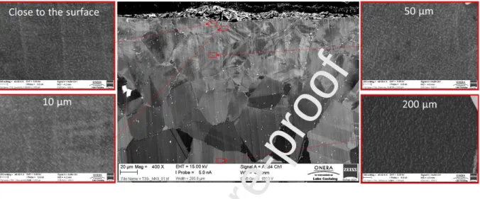Figure 6. SEM images at different depth for the coarse grains and coarse strengthening precipitates  microstructure after SP2 shot peening