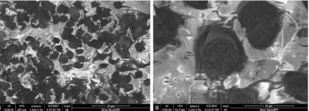 Fig. 15   SEM images of the fractured cross-sections related to epoxy resin (E-54(616)) reinforced with con- con-tinuous carbon fiber composites [37]