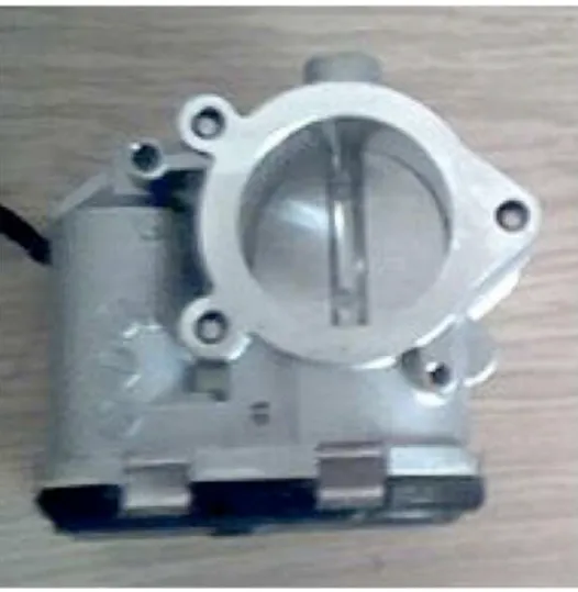 Figure 1. Un exemple de papillon.