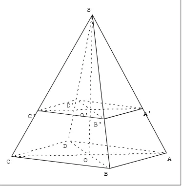 Figure 1 : pyramide régulière 