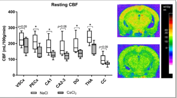 Figure 2. Effect of carotid calci ﬁcation on resting cerebral blood ﬂow (CBF). Resting CBF was measured by autoradiography using [ 14 C]iodoantipyrine as a diffusible tracer in awake mice, 2 weeks after application of CaCl 2 or NaCl