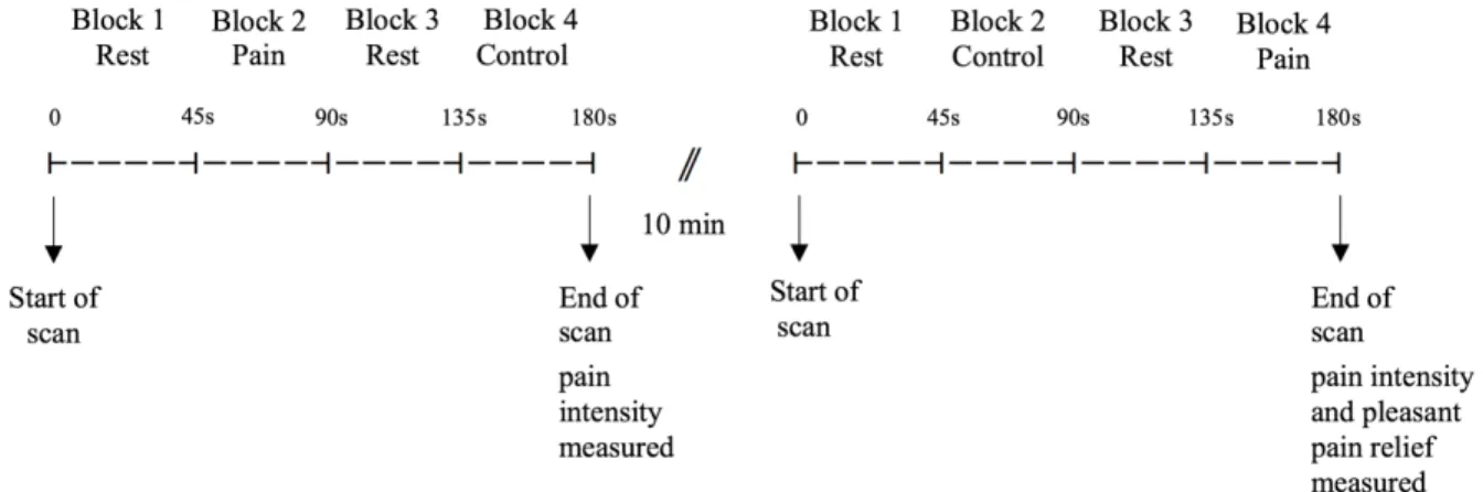 Figure 2. Stimulus presentation. Each run lasted three minutes and was comprised of four 45 second blocs