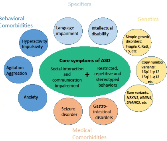 Figure 1: Representation of the phenotypical heterogeneity of ASD based on DSM-5 criteria  for ASD