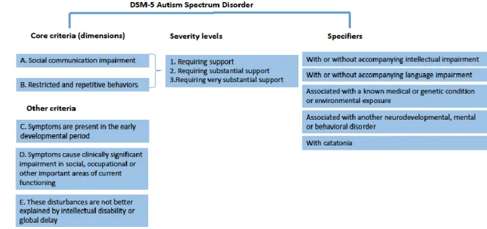 Figure 3: Representation of the phenotypical heterogeneity of ASD based on DSM-5 criteria  for ASD