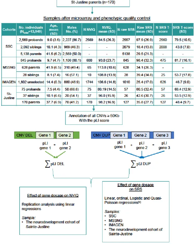 Figure 6: Methodological pipeline. Microarray quality control and CNV selection and annotation were performed as previously  published in Huguet et al