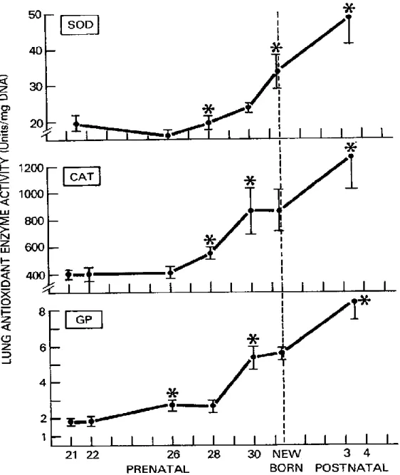 Figure 5.  Developmental changes in antioxidant enzyme activity in lungs of fetal and  newborn rabbits