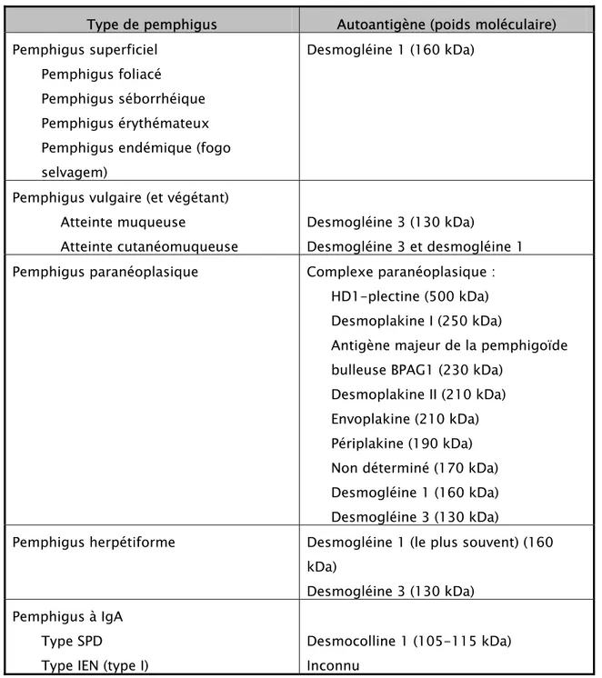 Tableau III : Autoantigènes-cibles des anticorps dans les différentes formes   de pemphigus (22)