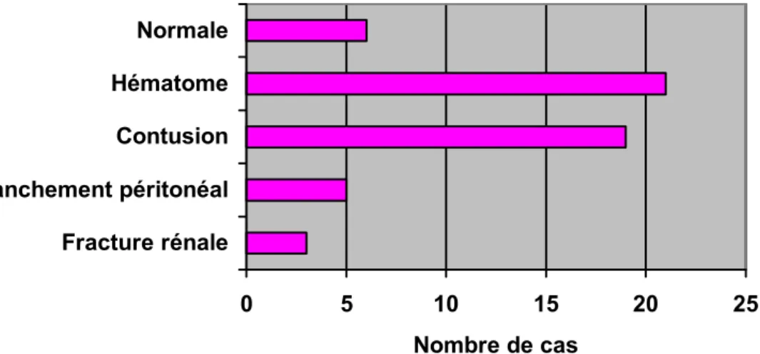 Figure n°6 : Types de lésions à l’échographie 