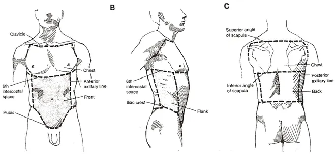 Figure 1: Siège de la lésion par arme blanche (10)  A: Abdomen et poitrine. 