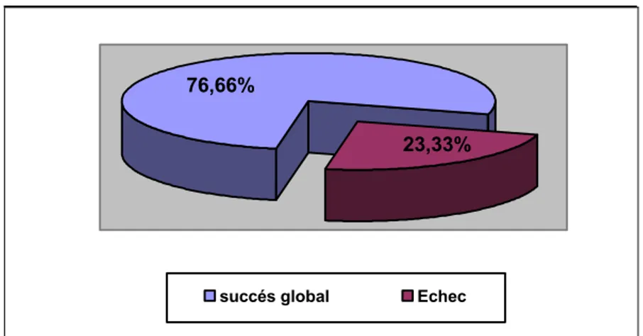 Figure 1: Taux de succès global 