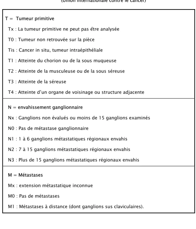 Tableau VIII : Classification tumor-nodes-metastasis (TNM) des cancers de l’estomac   (Union internationale contre le cancer) 