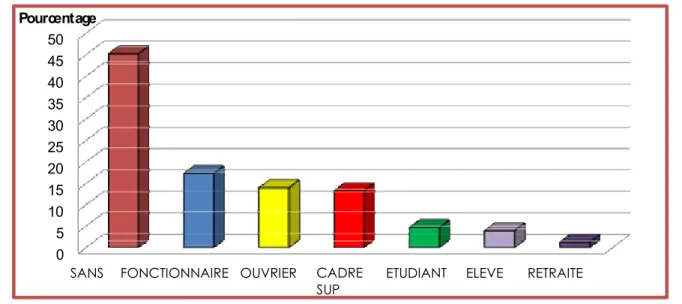 Figure 3 : répartition des patients selon la profession 