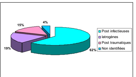 Figure 24: répartition des patients selon l’étiologie 
