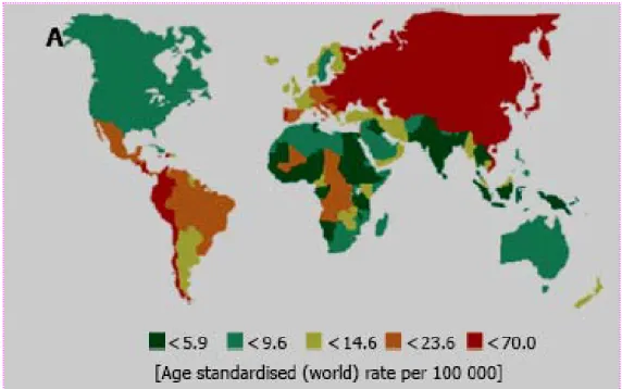 Figure  8 : Variations géographiques de l’incidence du cancer   de l’estomac chez les hommes [17] 
