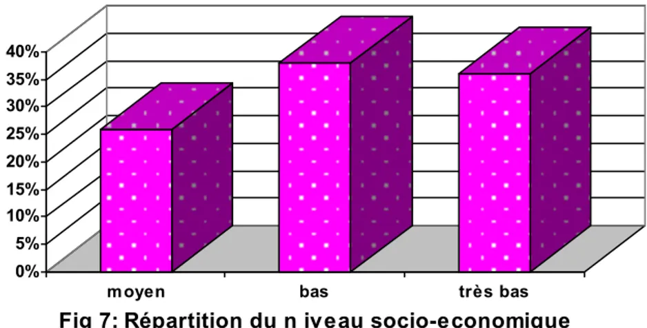 Fig 7: Répartition du n iveau socio-economique