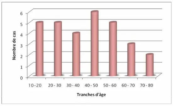 Figure 3. Répartition par tranches d'âge 