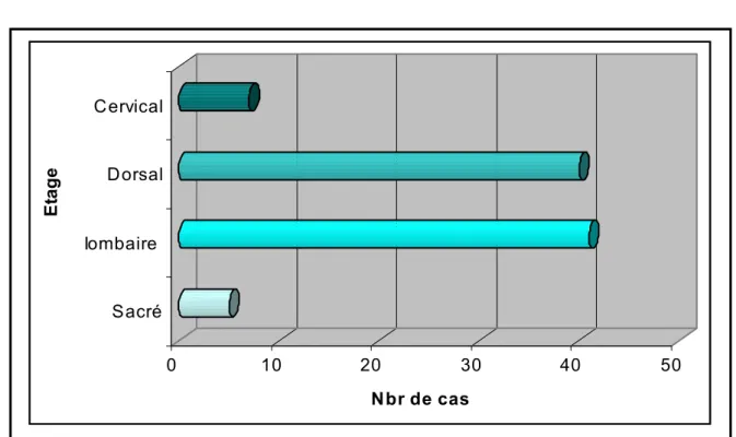 Graphique 3 : Répartition de l’atteinte selon les segments rachidiens. 