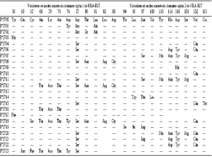 Tableau II: Variations de séquences en acides aminés des sous-types de HLA-B27 