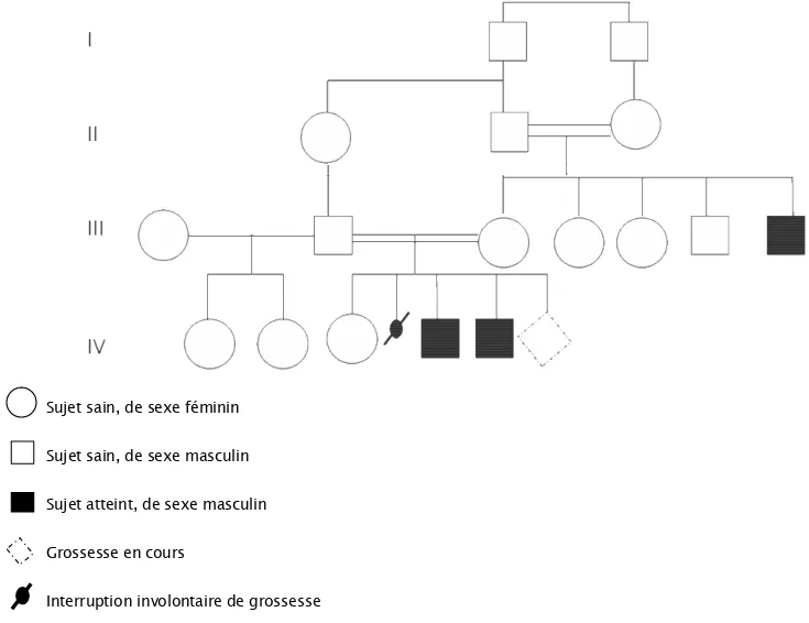 Figure 1: Arbre généalogique de la famille de Mohamed et Khalid 